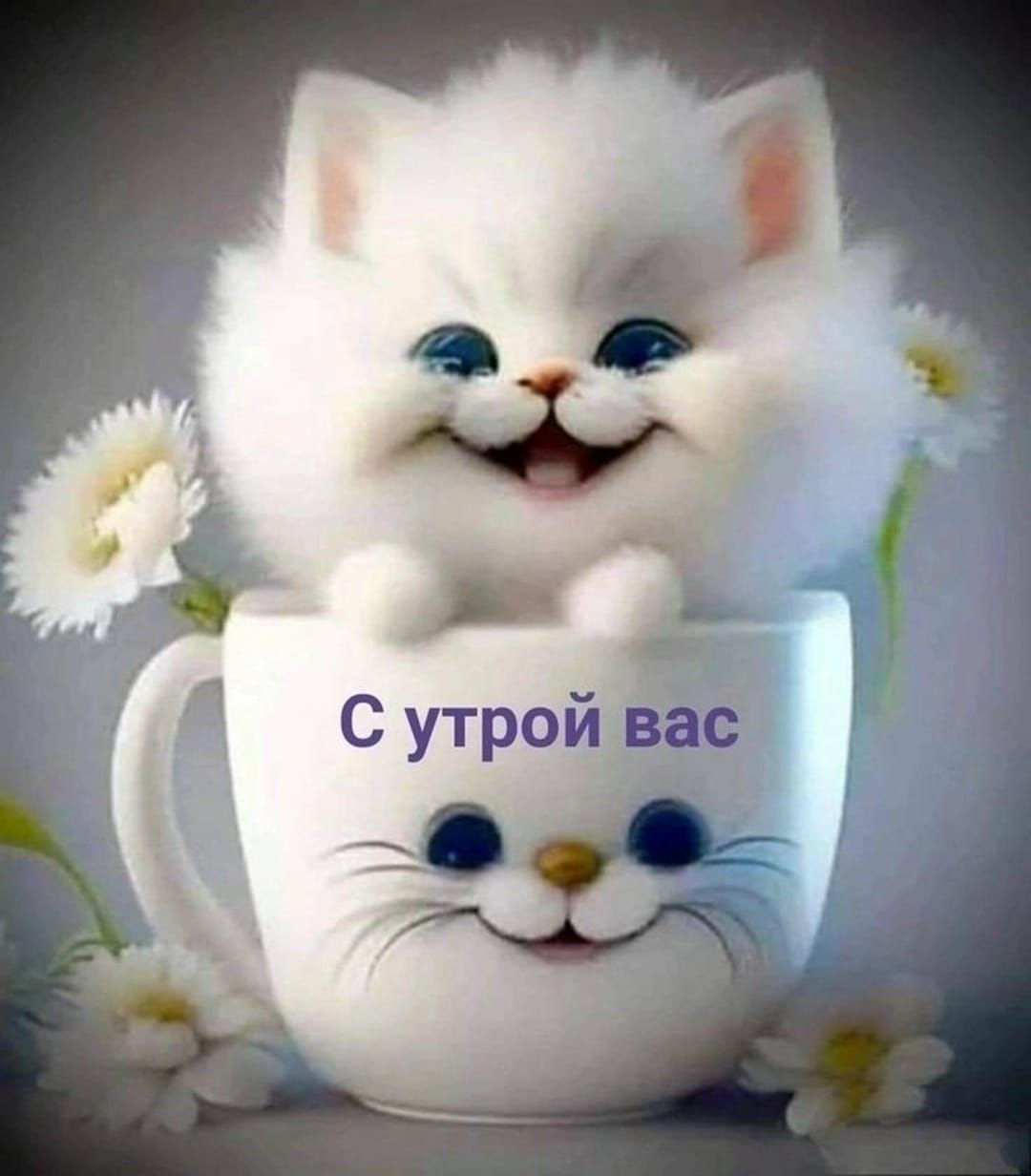 С утрём вас