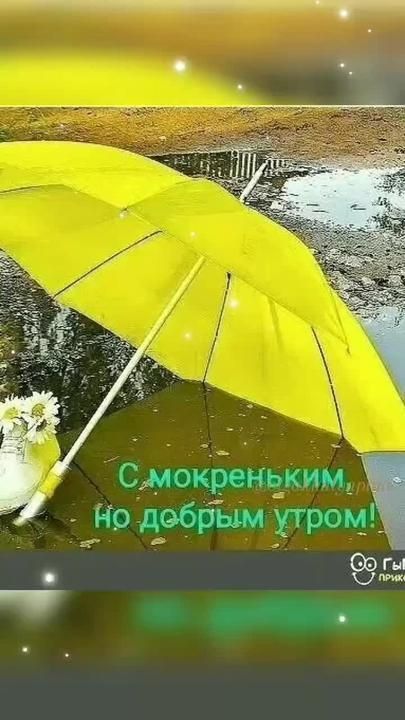 С мокреньким, но добрым утром!