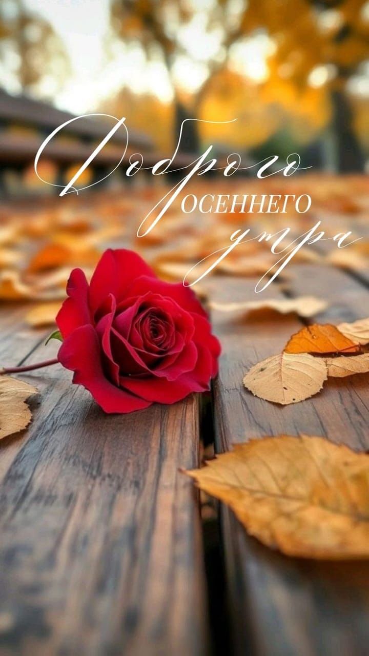 Доброе осеннего утра