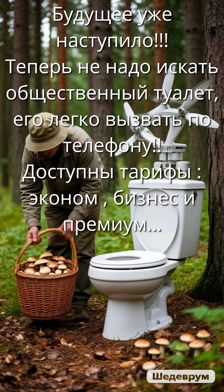 Будущее уже наступило!!! Теперь не надо искать общественный туалет, его легко вызвать по телефону! Доступны тарифы: эконом, бизнес и премиум...