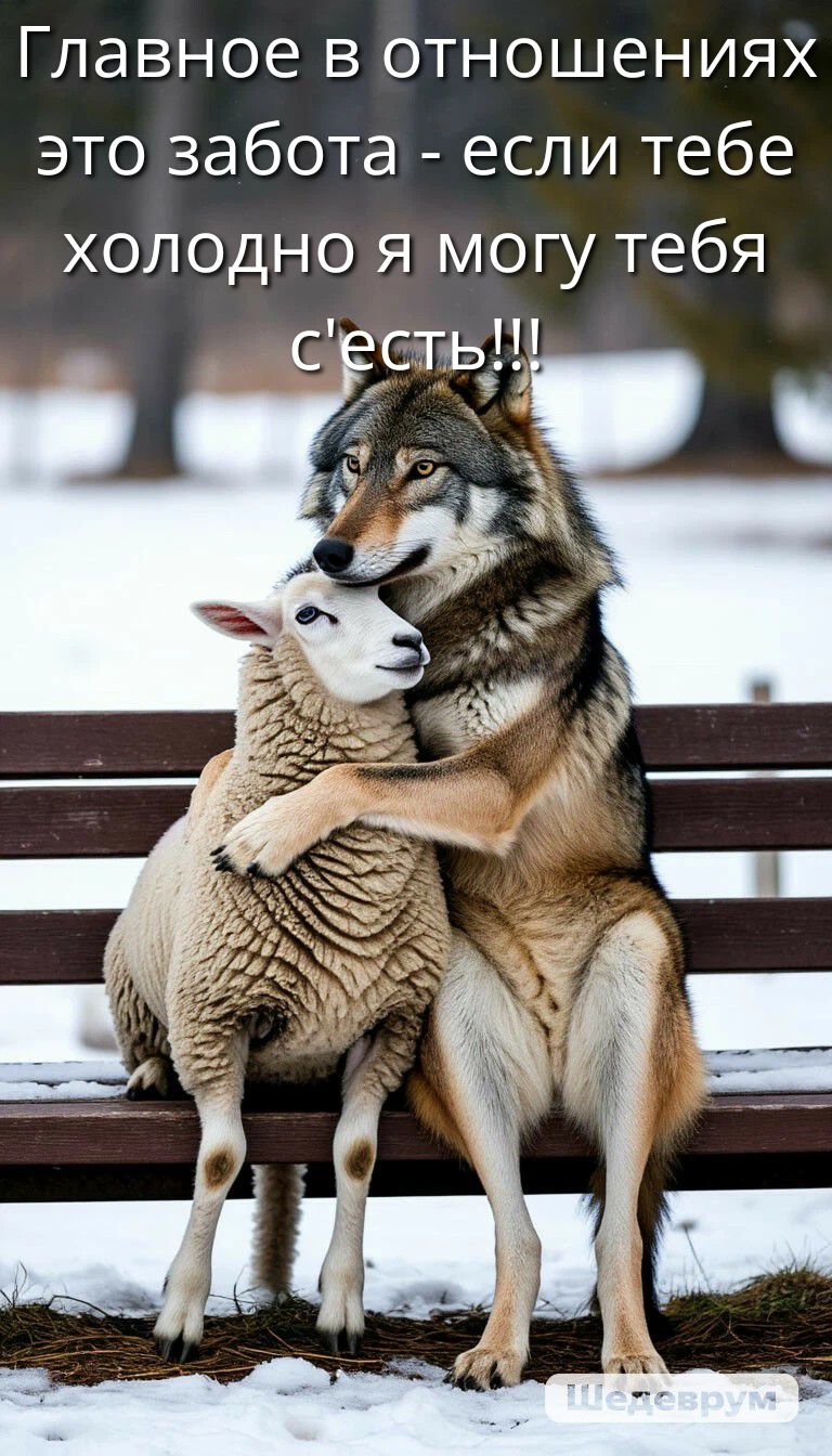 Главное в отношениях это забота - если тебе холодно я могу тебя с'есть!!!