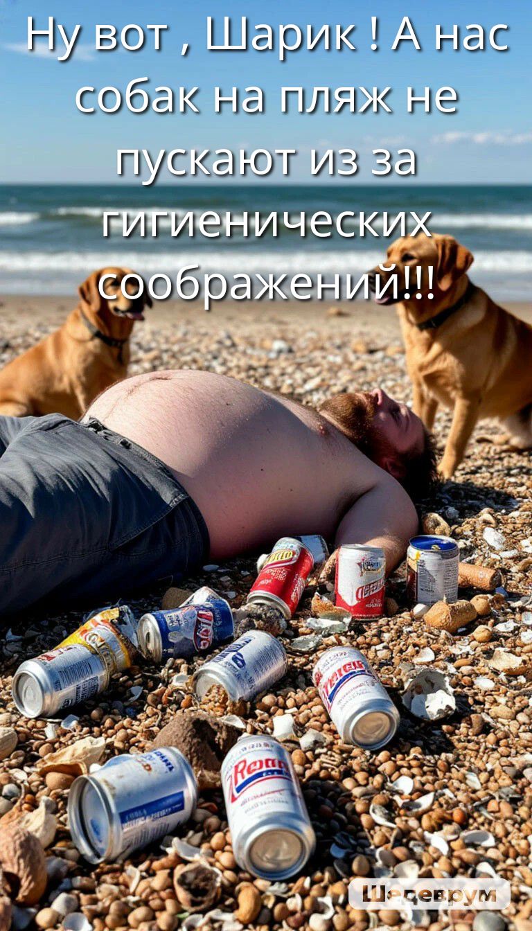 Ну вот , Шарик ! А нас собак на пляж не пускают из за гигиенических соображений!!!