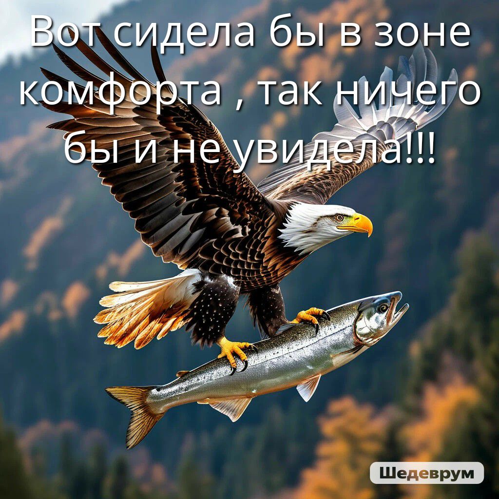 Вот сидела бы в зоне комфорта , так ничего бы и не увидела!!!