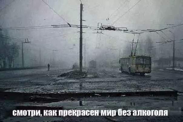 пмйтпіч как Митрий неа алкоголя