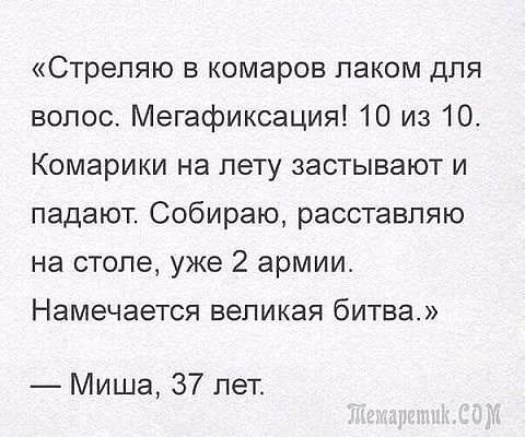 Стрепяю в комаров лаком для волос Мегафиксация 10 из 10 Комарики на лету застывают и падают Собираю расставпяю на столе уже 2 армии Намечается великая битва Миша 37 лет