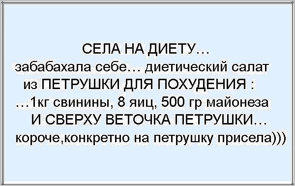 СЕЛА НА ДИЕТУ забабахапа себе диетический салат из ПЕТРУШКИ ДЛЯ ПОХУДЕНИЯ 1кг свинины 8 яиц 500 гр майонеза И СВЕРХУ ВЕТОЧКА ПЕТРУШКИ корочеконкретно на петрушку присепа