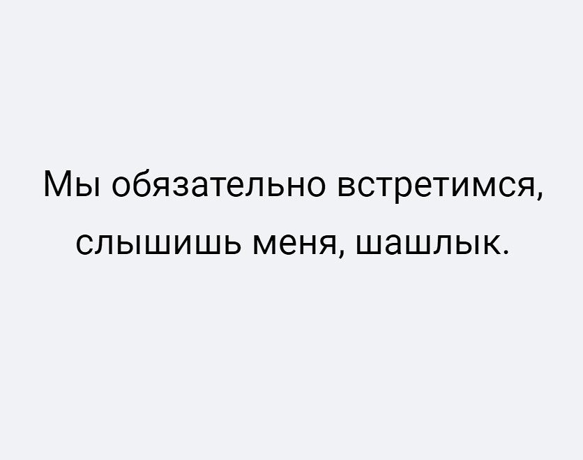 Мы обязательно встретимся слышишь меня шашлык