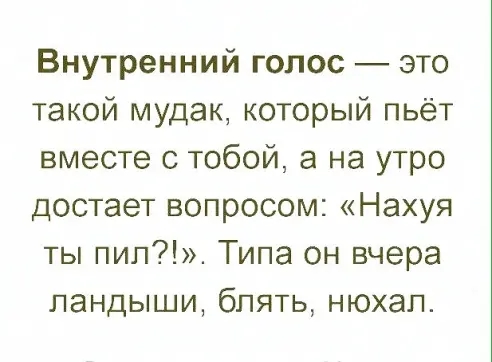 Внутренний голос это такой мудак который пьёт вместе с тобой а на утро достает вопросом Нахуя ты пип Типа он вчера ландыши бпять нюхал