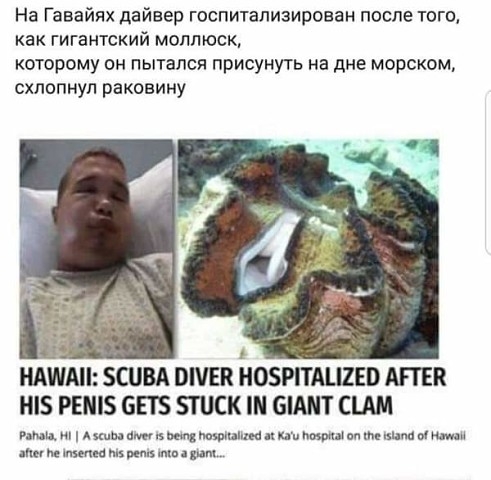 На Гавайях дайвер госпитализирован после того как гигантский моллюск которому он пытался присунуть на дне морским схлопнуп раковину НАША ШВА ВПШ іЮЗРПАШЕП АПЕК РЕШЗ 651 БШСК НМТ СЦМ тиц и А шва птн Щ машины и ищи пп ним м ю ие ммм мы в дим