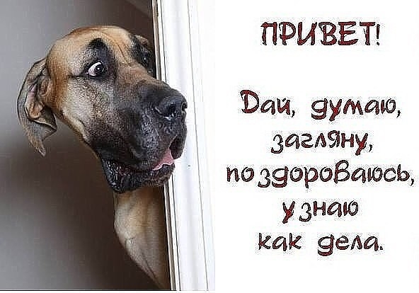 ПРИВЕТ Ваш зудит тайну по звороВаюсь узнаю Как эвм