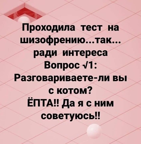 Проходила тест на шизофрениютак ради интереса Вопрос 11 Разговариваете ли вы с котом ЁПТА да я с ним советуюсь