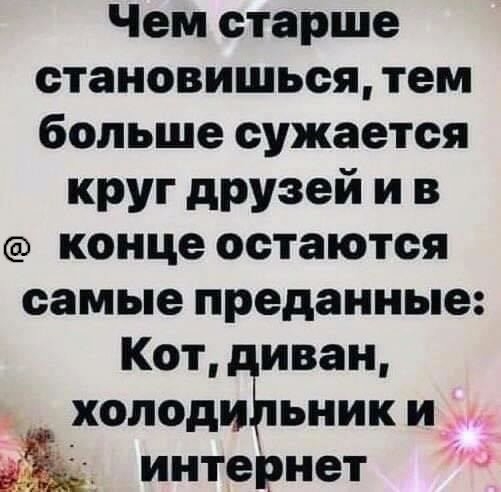 Чем старше становишься тем больше сужается круг дРУзей и в конце остаются самые преданные Кот иван холоддпьник и интернет