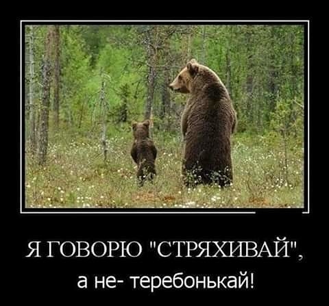 Я ГОВОРЮ СТРЯХИВАЙ а не теребонькай