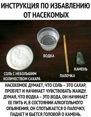 ИНСГРУКЦИЯ ПО ИЗБАВЛЕНИЮ ОТ НАСЕКОМЫХ имень соль с нввольшим количшппм САХАРА пдлочкд НАСЕКОМОЕ дУМАЕТЧТ0 СОЛЬ ЭТО САХАР ПРОБУЕТ И НАЧИНАЕТ ЧУВСТВОВАТЬ ЖАЖДУ ДУМАЯ ЧТО ВОДКА ЭТО ВОДА0Н НАЧИНАЕТ ЕЕ ПИТЬ И В СОСТОЯНИИ АЛКОГОЛЬНОГО 0ПЬЯНЕНИЯОН СПОТЫКАЕТСЯ О ПАПОЧКУ ПАЩЕТИ БЬЕТСЯ ГОЛОВОЙ О КАМЕНЬ