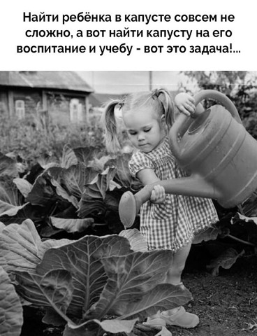 Найти ребёнка в капусте совсем не сложно а вот найти капусту на его воспитание и учебу вот это задача