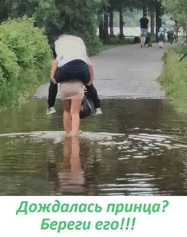 Дождап ь принца Береги еда