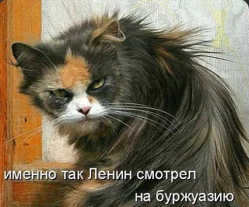 имёіннс такЛенин смотрел у на буржуазию