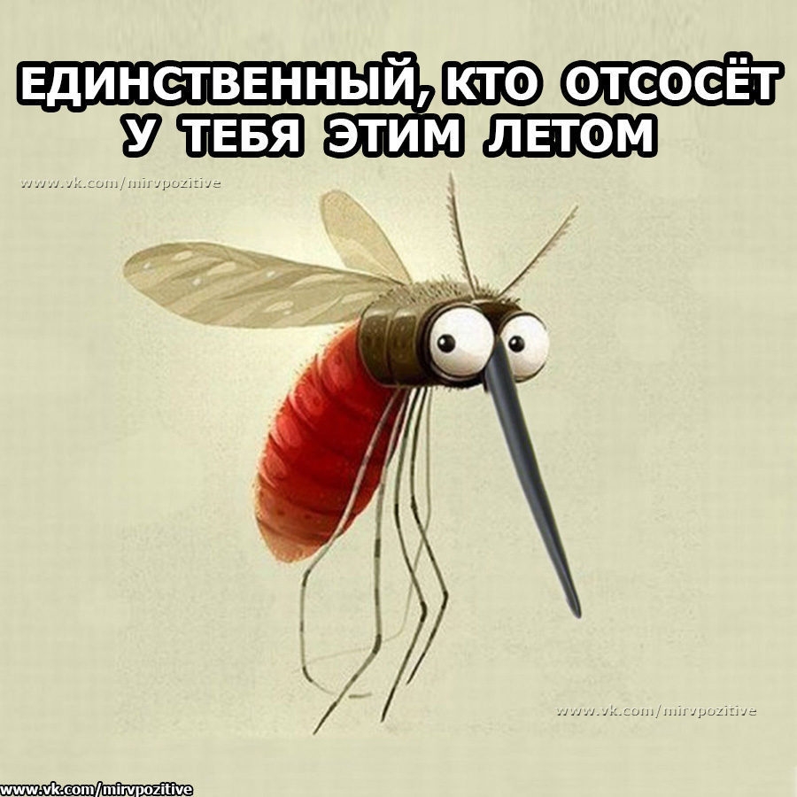 Единетввнньпй отсоеЁт 7 ТЕБЯ этим летом д