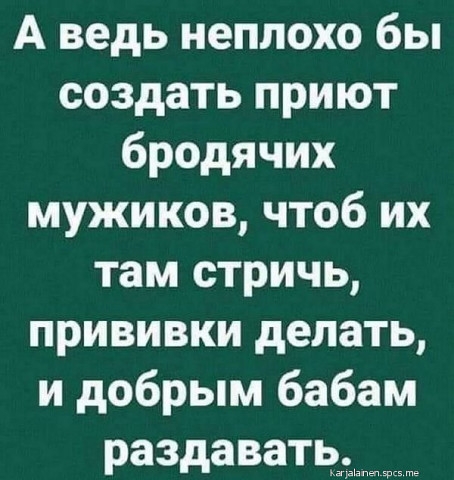 А ведь неплохо бы создать приют бродячих мужиков чтоб их там стричь прививки делать и добрым бабам раздавать