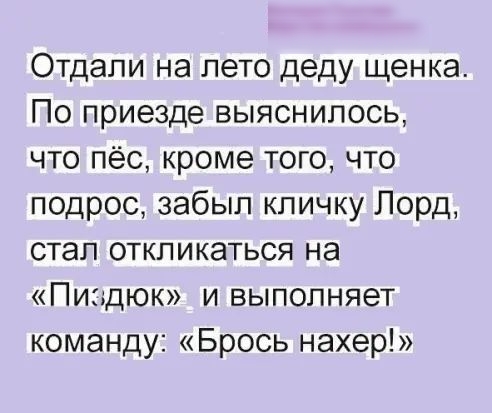 Отдали на лето деду щенка По приезде выяснилось что пёс кроме того что подрос забыл кличку Лорд стал откликаться на Пиздюк и выполняет команду Брось нахер