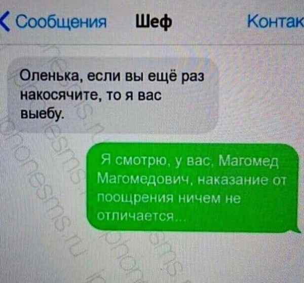 Сообщения Шеф Оленька если вы ещё раз накосячите то я вас выебу Контак