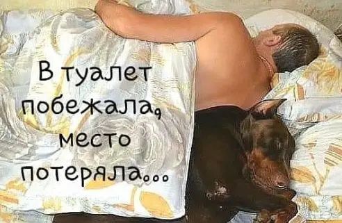 В туалет побежала і место потеряла