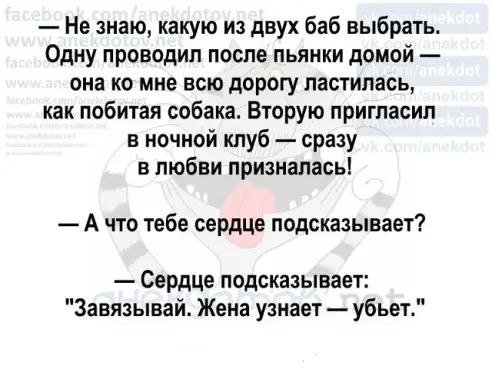 Не знаю какую из двух баб выбрать Одну проводил после пьянки домой она ко мне всю дорогу пастилась как побитая собака Вторую пригласил в ночной клуб сразу в любви призналась А что тебе сердце подсказывает Сердце подсказывает Завязывай Жена узнает убьет