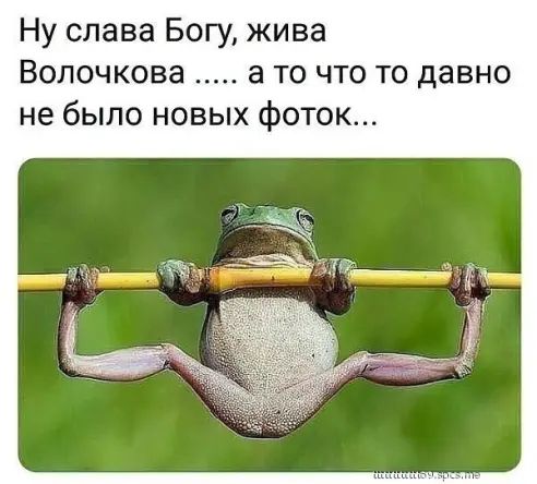 Ну слава Богу жива Волочкова а то что то давно не было новых фоток