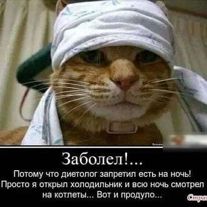 Заболел Потому что диетолог запретил есть на ночь Просто я открып хоподипьник и всю ночь смотрел на котлеты Вот и продуло