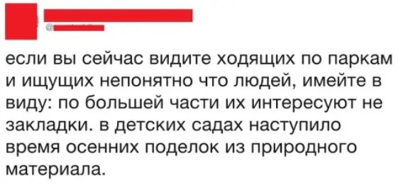 если вы сейчас видите ходящих по паркам и ищущих непонятно что людей имейте в виду по большей части их интересуют не закладки в детских садах наступило время осенних поделок из природного материала