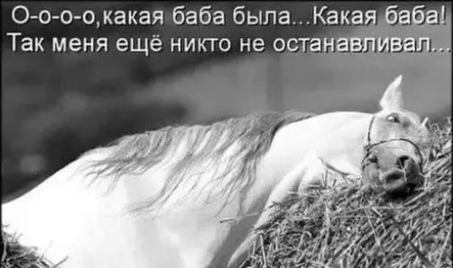 О о о окакая баба была Какая баба Так меня ещё никто не останавливал