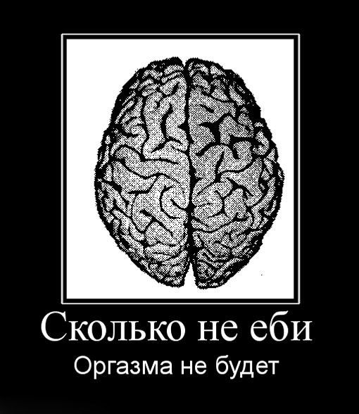 Сколько не ебИ Оргазма не будет
