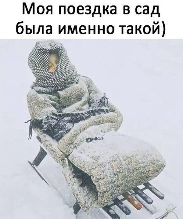Моя поездка в сад была именно такой