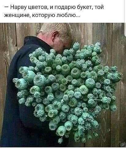 Нарву цветов и подарю букет той женщина которую люблю