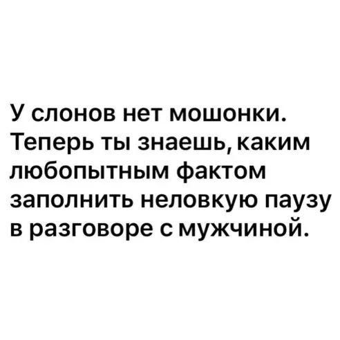 У слонов нет мошонки Теперь ты знаешь каким любопытным фактом заполнить неловкую паузу в разговоре с мужчиной