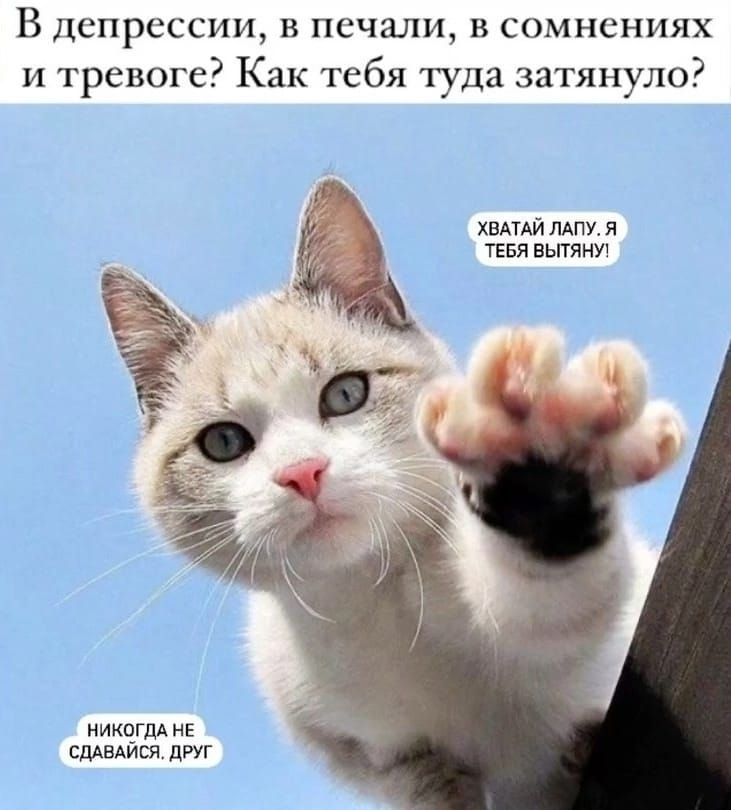 В депрессии, в печали, в сомнениях и тревоге? Как тебя туда затянуло?
ХВАТАЙ ЛАПУ, Я ТЕБЯ ВЫТЯНУ!
НИКГДА НЕ СДАВАЙСЯ, ДРУГ