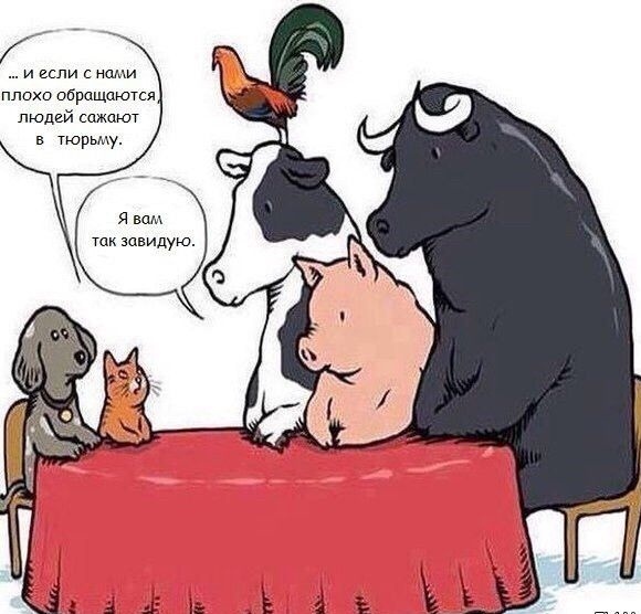 … и если с нами плохо обращаются люди садят в тормозу\nЯ вам так завидую.