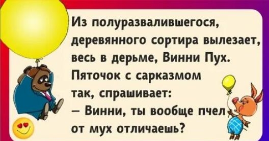 Из полуразвалившегося, деревянного сортирa вылезает, весь в дерьме, Винни Пух. Пятачок с сарказмом так, спрашивает: — Винни, ты вообще пчел от мух отличаешь?