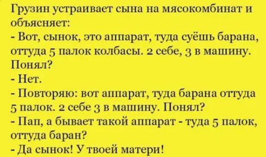 Грузин устраивает сына на мясокомбинат и объясняет:
- Вот, сынок, это аппарат, туда сушё барана, оттуда 5 палок колбасы. 2 себе, 3 в машину. Понял?
- Нет.
- Повторю: вот аппарат, туда барана оттуда 5 палок. 2 себе 3 в машину. Понял?
- Пап, а бывает такой аппарат - туда 5 палок, оттуда баран?
- Да сынок! У твоей матери!