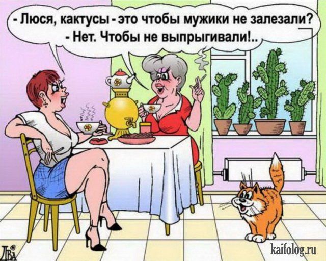- Люся, кактусы - это чтобы мужики не залезали? - Нет. Чтобы не выпрыгивали!