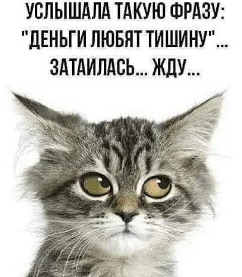 УБЛЫШАЛА ТАКУЮ ФРАЗУ ЛЕНЬГИ ЛЮБЯТ ТИШИНУ ЗАТАИЛАСЬ ЖДУ