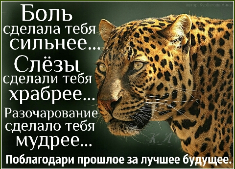 сделали тебя храбрее Разочарование сделало тебя мудрее Поблагодари прошлое за лучшее будущее