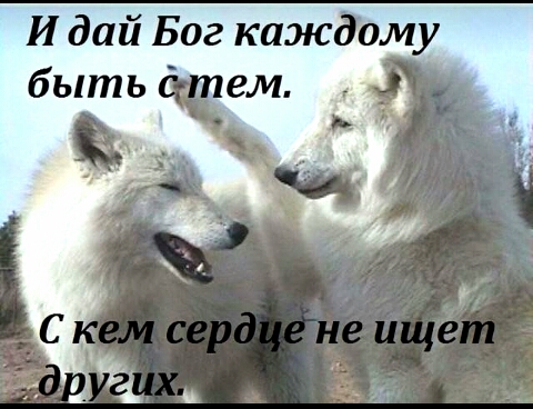 И дай Бог каждому