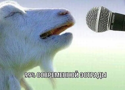 ЗЭТРАДЫ