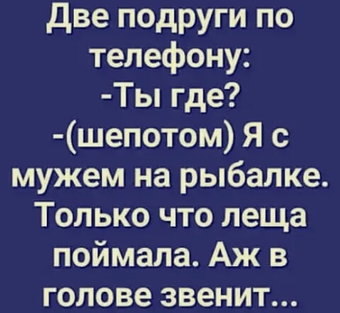 две подруги по телефону Ты где шепотом Я с мужем на рыбалке Только что леща поймала Аж в голове звенит
