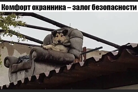 ПМШЩП охпаииика 38110 ппаппасиости