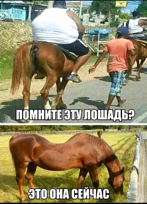 д зтпзоінп единиц
