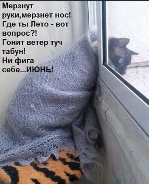 Мерзнут рукимерзнвт нос Где ты Лето вот вопрос Гоиит ветер туч табун Ни фига себе _