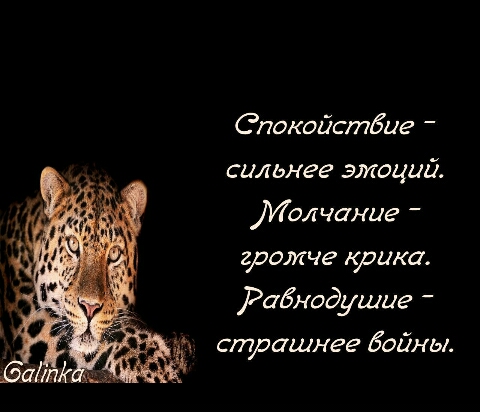 Спокойстбие _ сильнее эмоций Молчание громче крика Робнодушие _ страшнее Байны