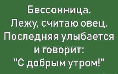 Бессонница Лежу считаю овец Последняя улыбается и говорит С добрым утром